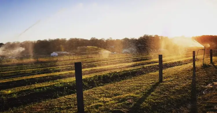Fourth view of Homely rural property listing, 35 to 41 Malabar Road, Veresdale QLD 4285