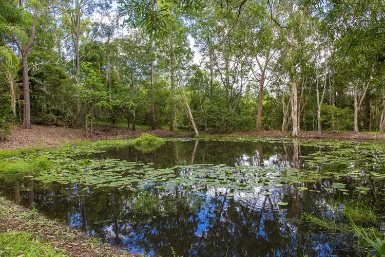 Sixth view of Homely house listing, 123 Fleetwood Road, Belli Park QLD 4562