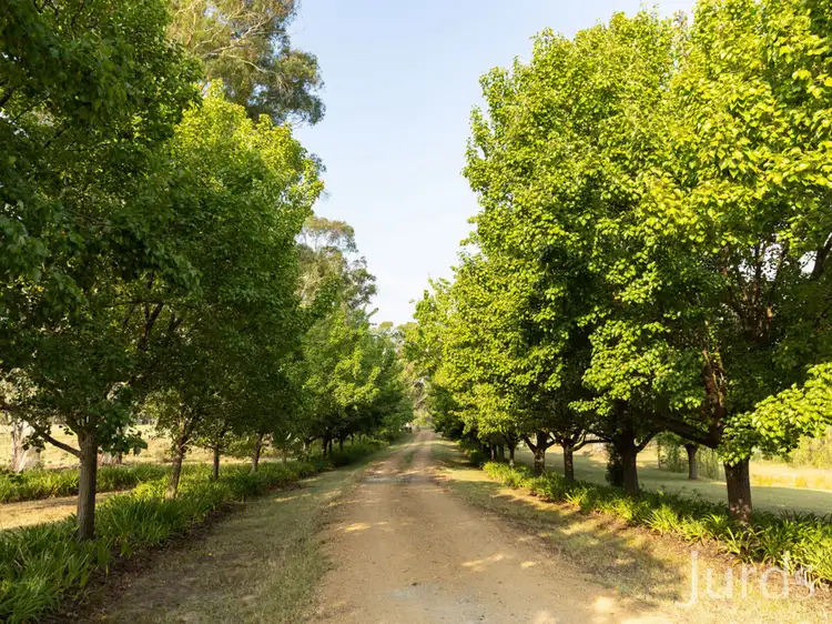 Sixth view of Homely rural property listing, 282 Quorrobolong Road, Quorrobolong NSW 2325