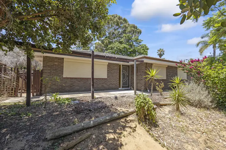 Main view of Homely house listing, 906 Wanneroo Road, Wanneroo WA 6065