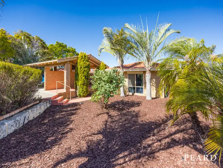 4B Snowy Close, Alexander Heights WA 6064