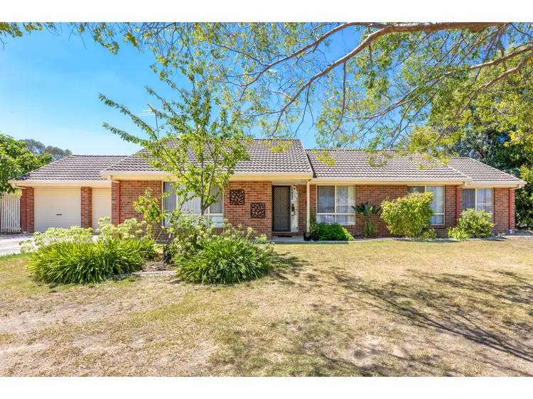 Main view of Homely house listing, 3 Valerie Way, Lavington NSW 2641