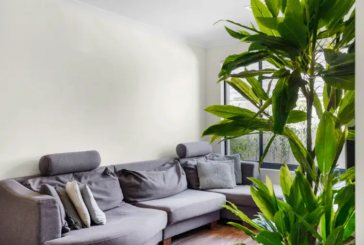 Sixth view of Homely house listing, 397 Karrinyup Road, Karrinyup WA 6018