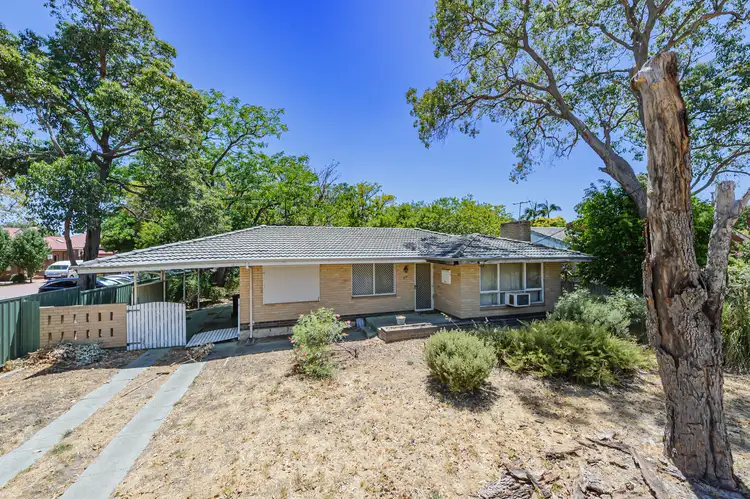 Main view of Homely house listing, 54 Wilkins Street, Bellevue WA 6056