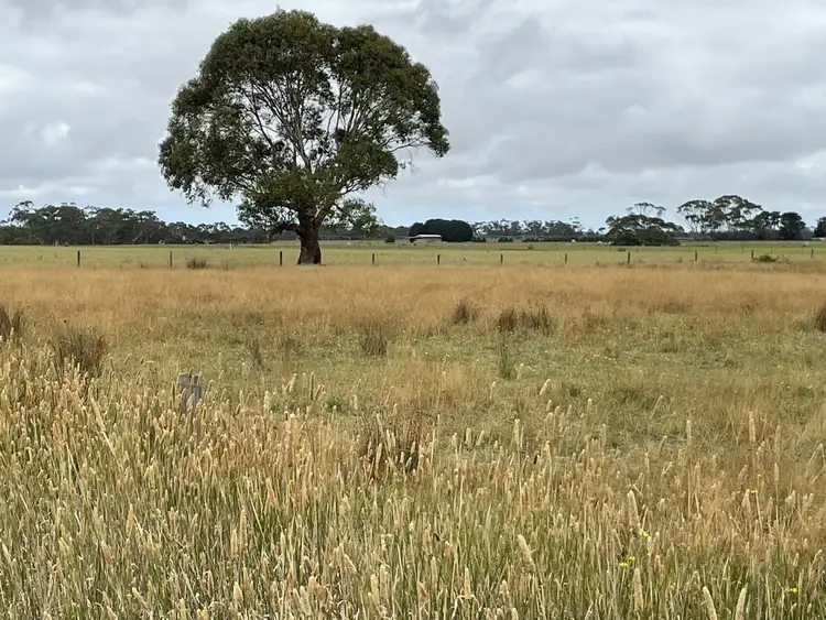 Fourth view of Homely land listing, Cobden-Scotts Creek Road, Cobden VIC 3266