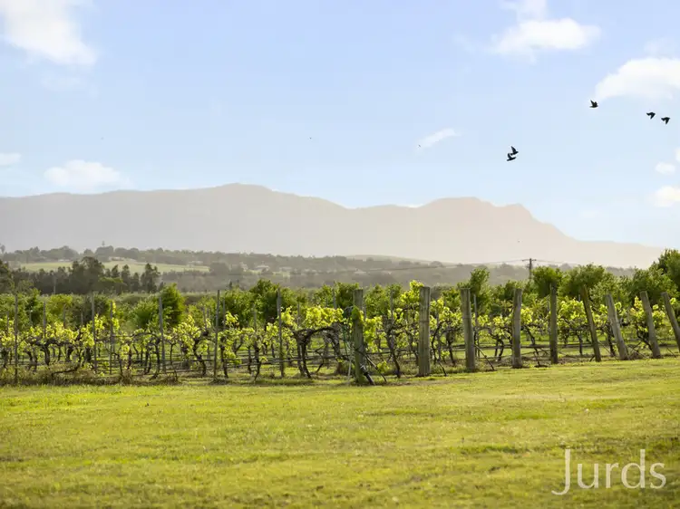Main view of Homely rural property listing, 307 Talga Road, Lovedale NSW 2325