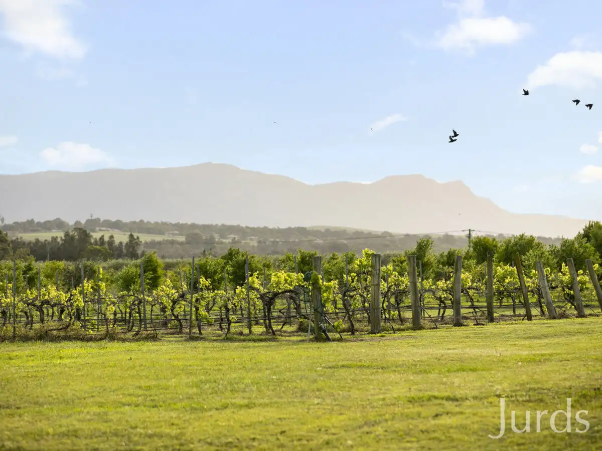 Main view of Homely rural property listing, 307 Talga Road, Lovedale NSW 2325