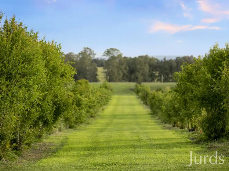 Fourth view of Homely rural property listing, 307 Talga Road, Lovedale NSW 2325