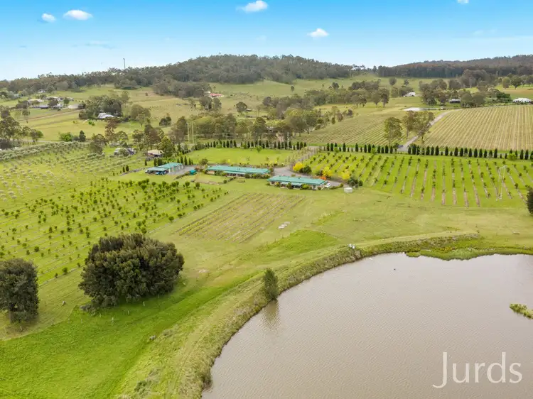 Fifth view of Homely rural property listing, 307 Talga Road, Lovedale NSW 2325