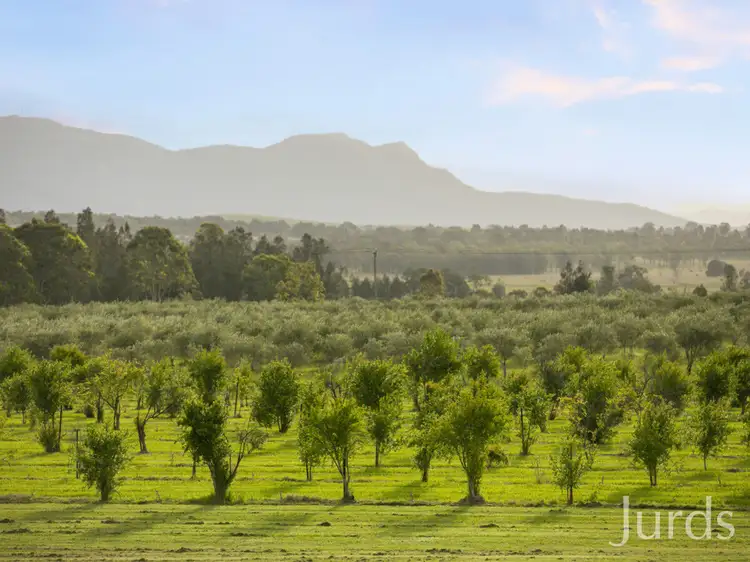 Sixth view of Homely rural property listing, 307 Talga Road, Lovedale NSW 2325