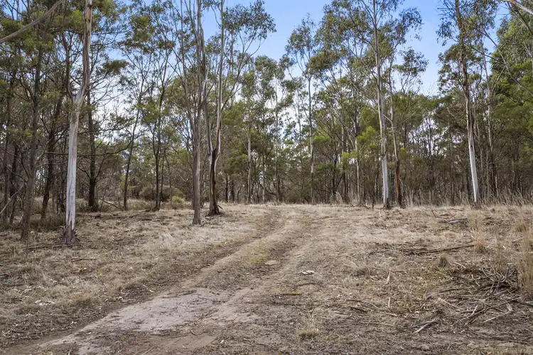 Seventh view of Homely land listing, 10562 Tasman Highway, Little Swanport TAS 7190