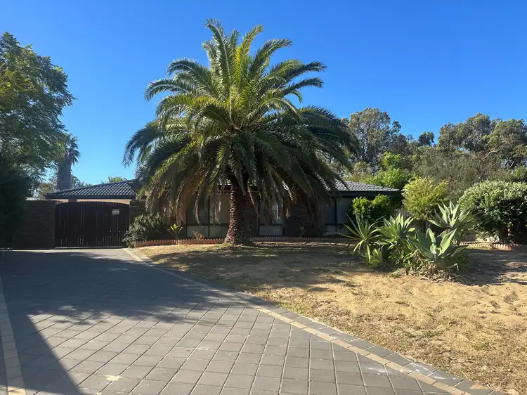 17 Steamer Court, Heathridge WA 6027