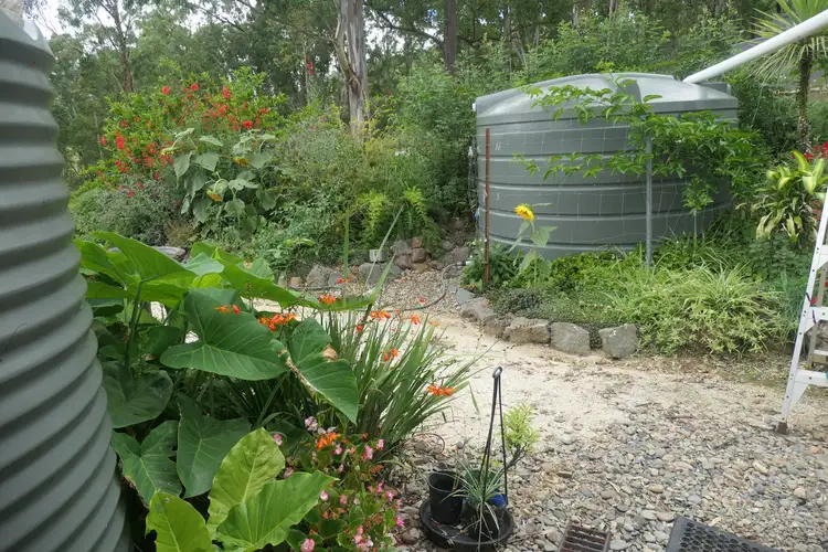 Seventh view of Homely rural property listing, 7903 Bruxner Highway, Drake NSW 2469
