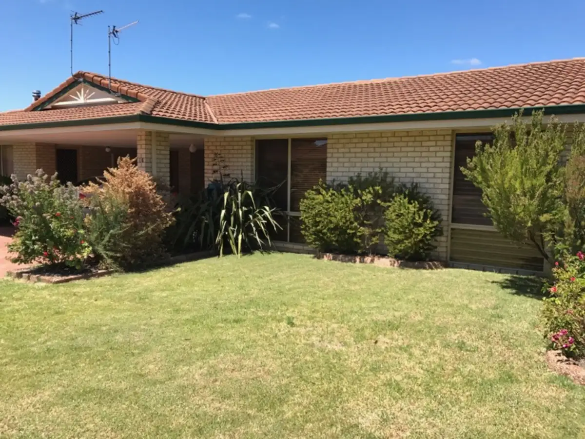 Main view of Homely unit listing, Unit 16/24 Graphite Road, Manjimup WA 6258