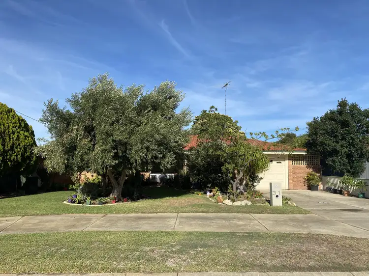 31 Maria Street, Dudley Park WA 6210