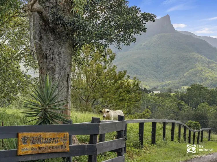 844-866 Brays Creek Road, Brays Creek NSW 2484
