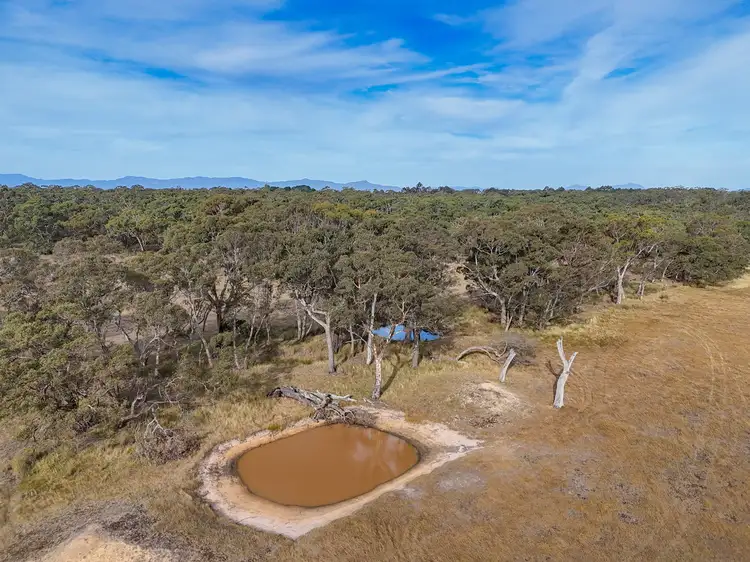 Fifth view of Homely rural property listing, LOT Lot A, B and C, 479 Old Tannery Road, Cavendish VIC 3314