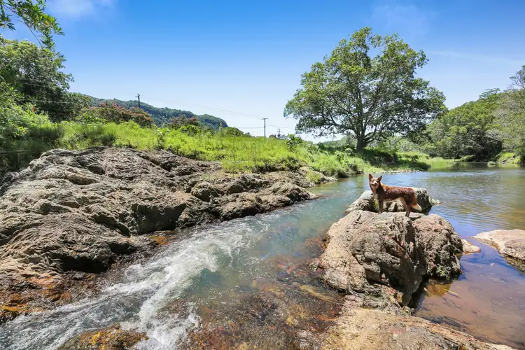 Fifth view of Homely house listing, 1263 Currumbin Creek Road, Currumbin Valley QLD 4223