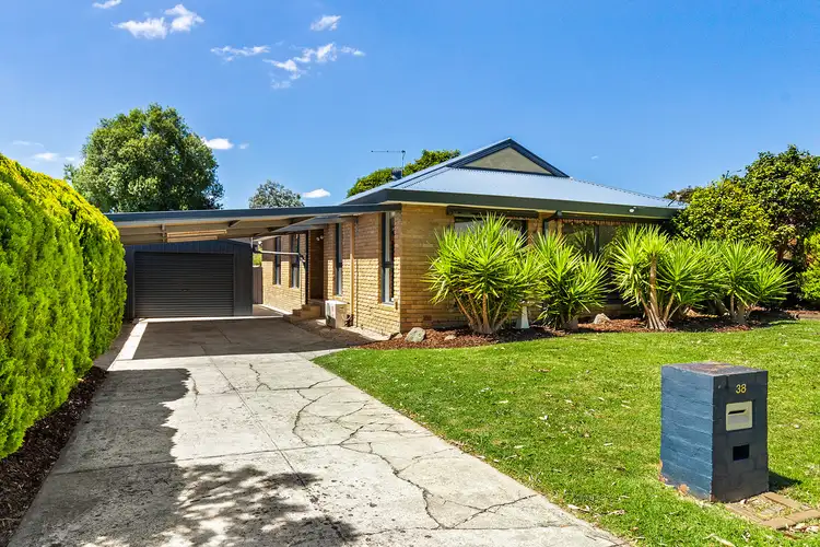 Main view of Homely house listing, 38 Paterson Avenue, Langwarrin VIC 3910