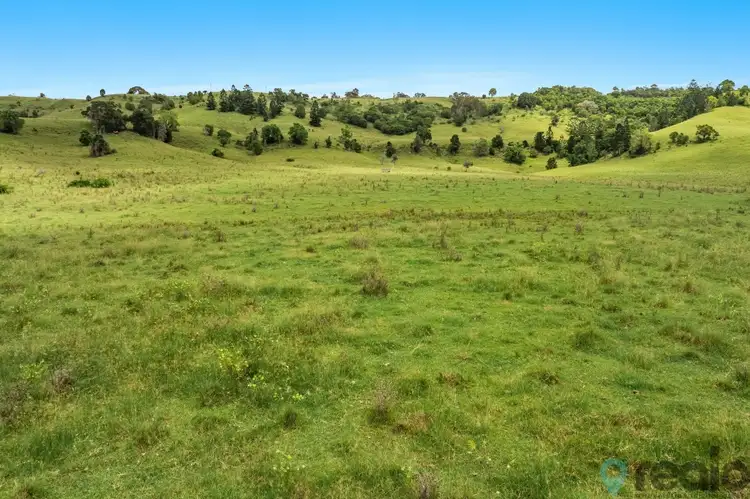 140 Parrots Nest Road, South Gundurimba NSW 2480