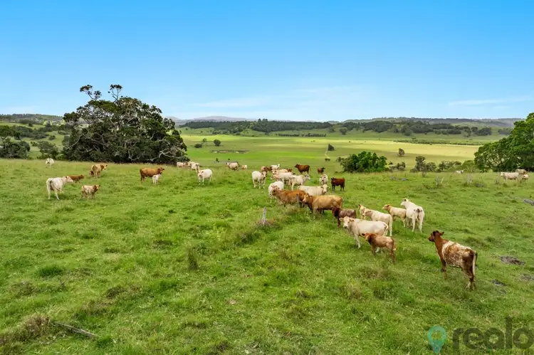 Fourth view of Homely rural property listing, 140 Parrots Nest Road, South Gundurimba NSW 2480