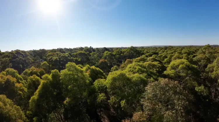 Fourth view of Homely land listing, 15 & 15A Lemajics Road, Scarsdale VIC 3351