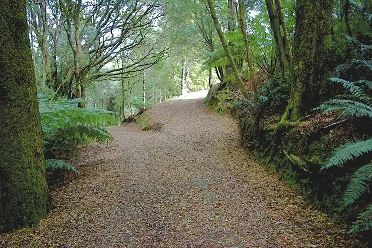 Second view of Homely rural property listing, 5073 Great Ocean Road, Lavers Hill VIC 3238