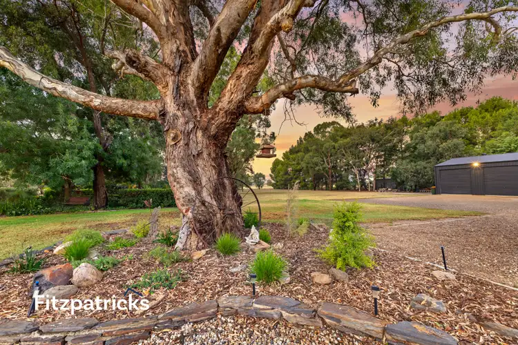 Sixth view of Homely house listing, 3 Laurel Road, Lake Albert NSW 2650