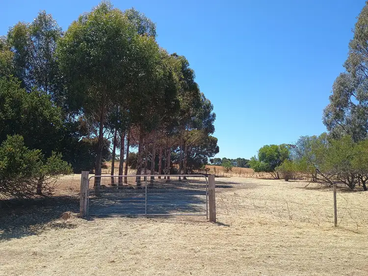 Fifth view of Homely land listing, LOT 3,4,5 and 6 Catharine Street, Farrell Flat SA 5416