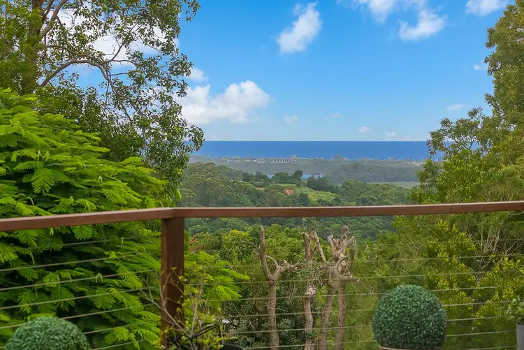 Main view of Homely house listing, 31 McAllisters Road, Bilambil Heights NSW 2486