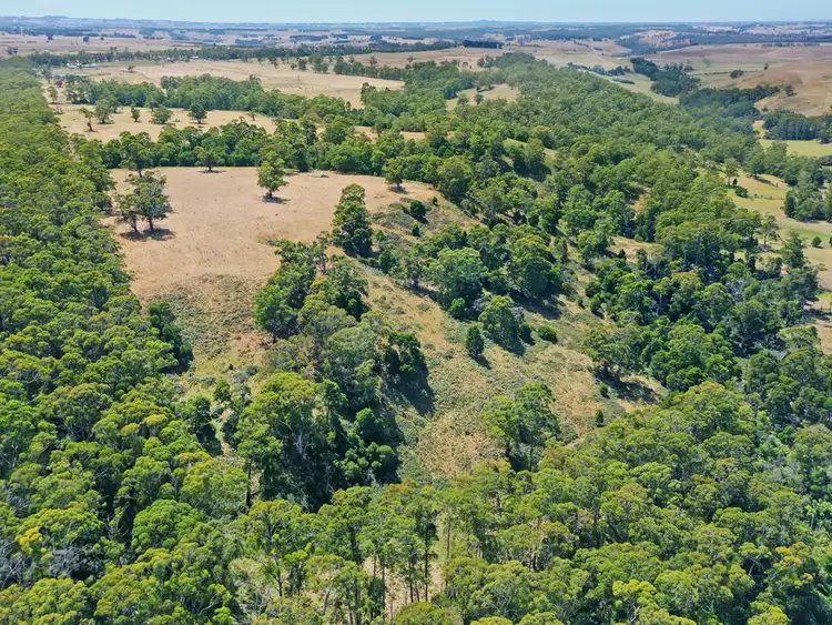 Fourth view of Homely rural property listing, LOT 1-4 Morehouses Bridge Road, Glenfyne VIC 3266
