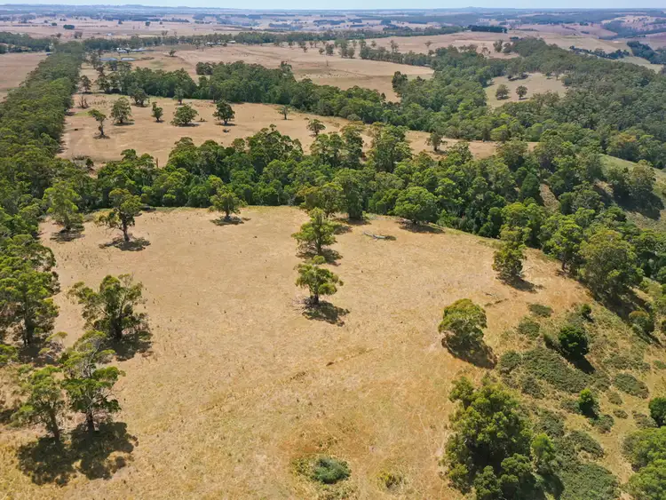 Fifth view of Homely rural property listing, LOT 1-4 Morehouses Bridge Road, Glenfyne VIC 3266