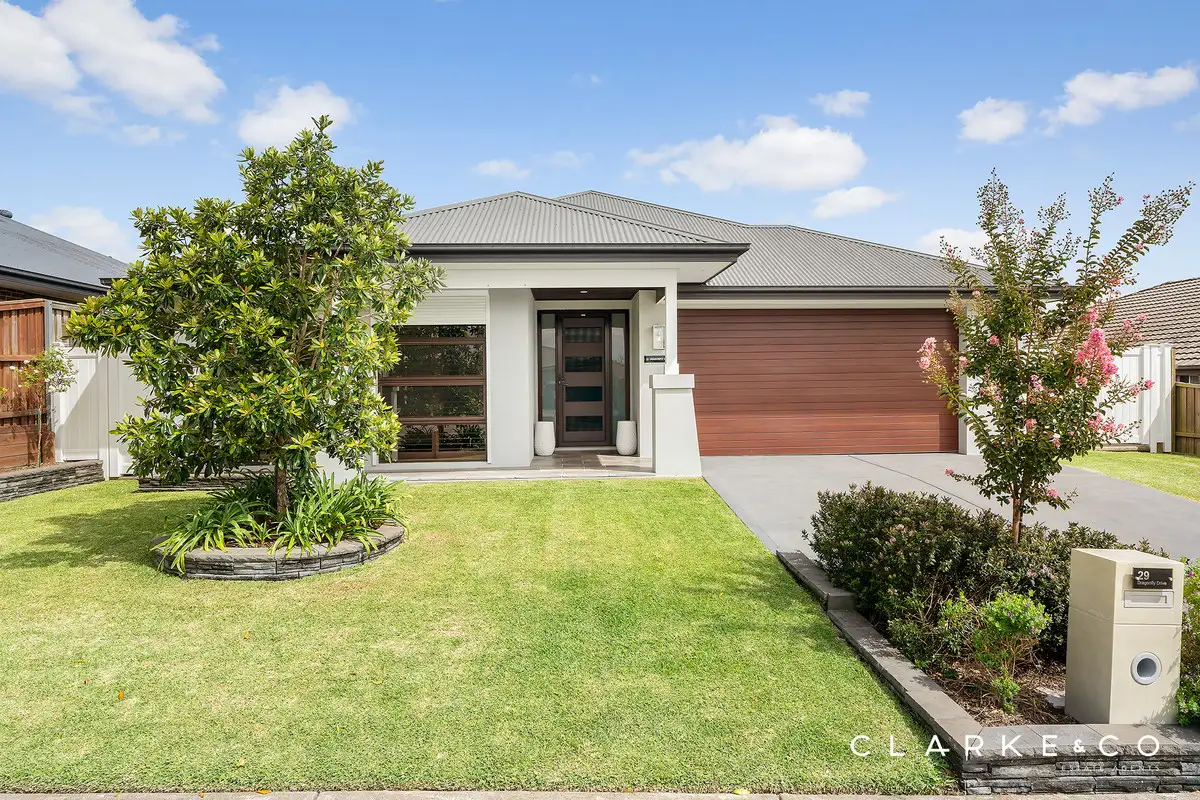 Main view of Homely house listing, 29 Dragonfly Drive, Chisholm NSW 2322