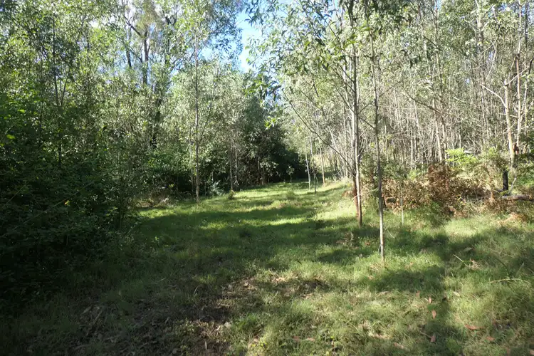 Second view of Homely rural property listing, LOT 52,53, 400 Phillips Swamp Road, Busbys Flat NSW 2469