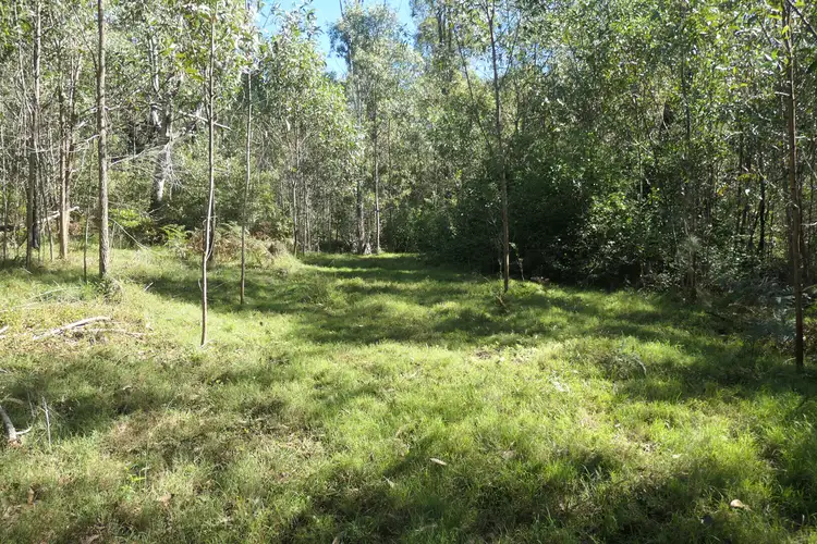 Fourth view of Homely rural property listing, LOT 52,53, 400 Phillips Swamp Road, Busbys Flat NSW 2469