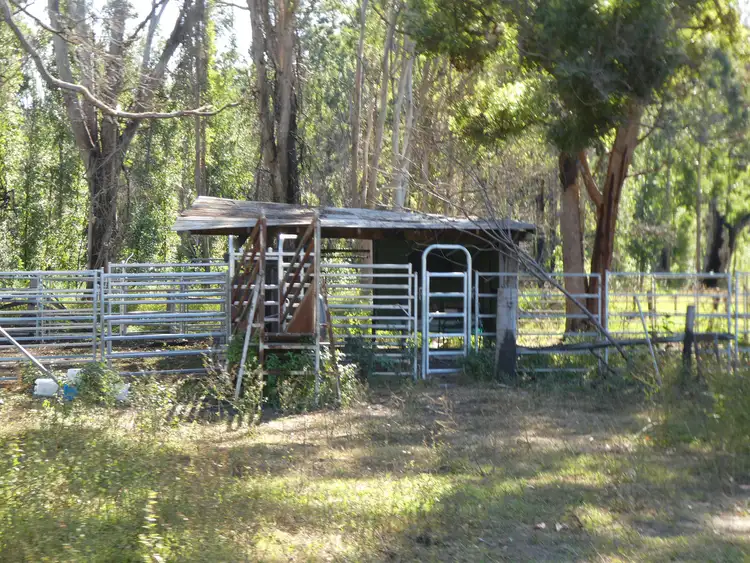 Fifth view of Homely rural property listing, LOT 52,53, 400 Phillips Swamp Road, Busbys Flat NSW 2469