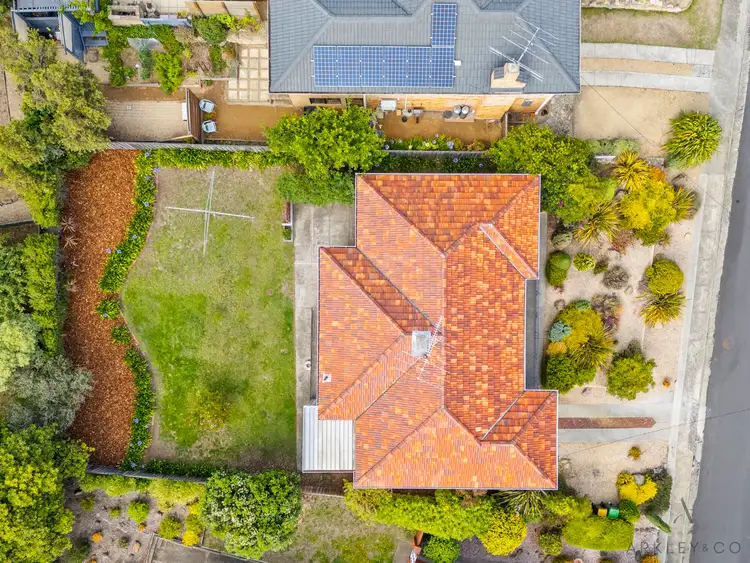 Fourth view of Homely house listing, 11 Coolangatta Street, Lindisfarne TAS 7015