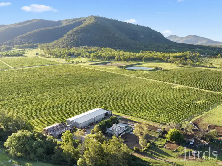 Main view of Homely rural property listing, 803 Milbrodale Road, Broke NSW 2330