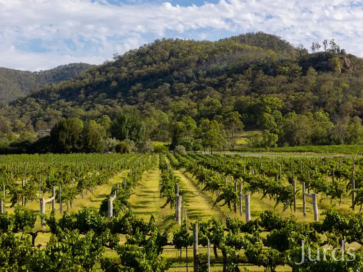 Third view of Homely rural property listing, 803 Milbrodale Road, Broke NSW 2330