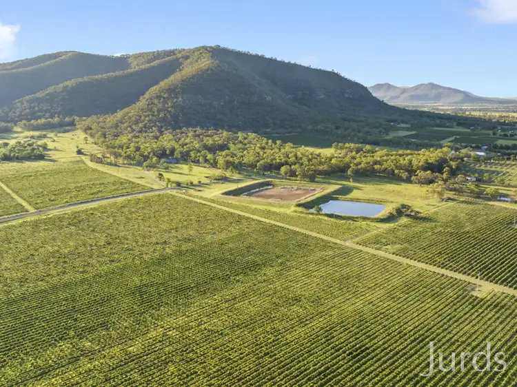 Fifth view of Homely rural property listing, 803 Milbrodale Road, Broke NSW 2330