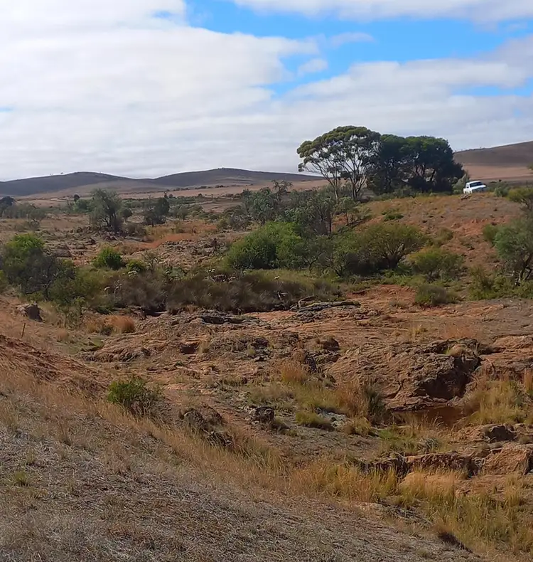 LOT 476 Odea Road, Pekina SA 5431
