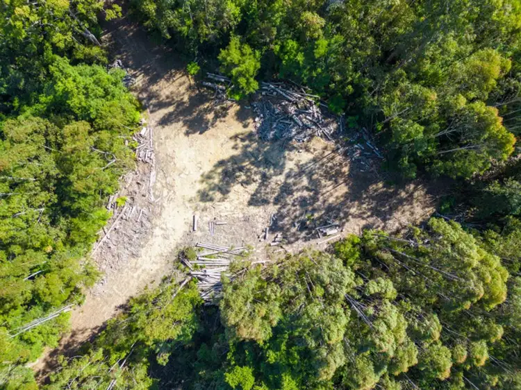 Lot 16 Lower Bobo Road, Ulong NSW 2450