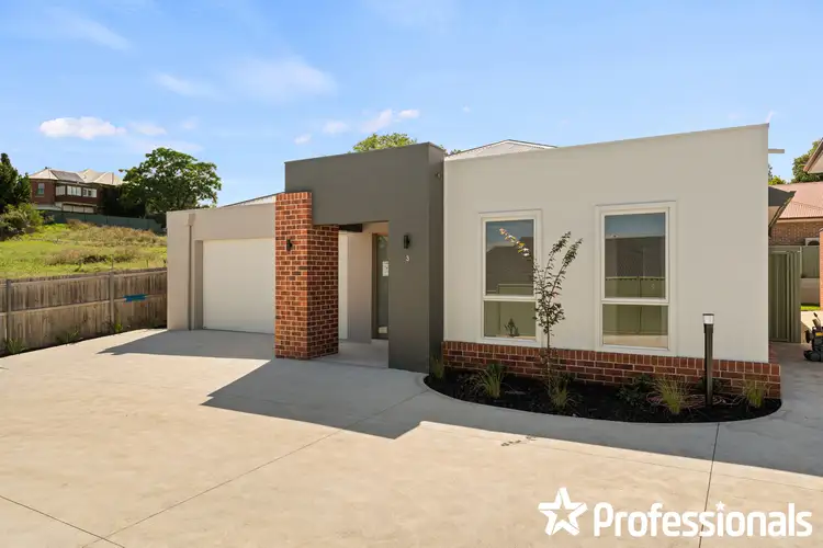 Main view of Homely house listing, 3/221 Peel Street, Bathurst NSW 2795