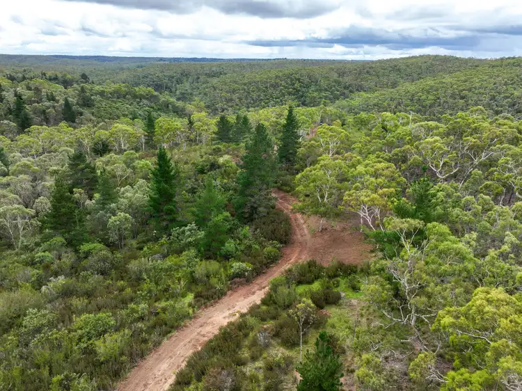 Sixth view of Homely rural property listing, 1022 Oallen Ford Road, Oallen NSW 2622