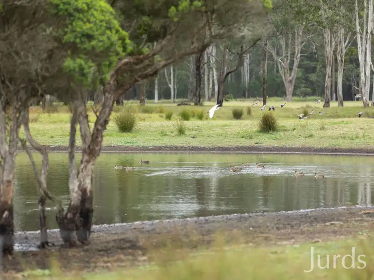 Fourth view of Homely rural property listing, 202 Quorrobolong Road, Kitchener NSW 2325