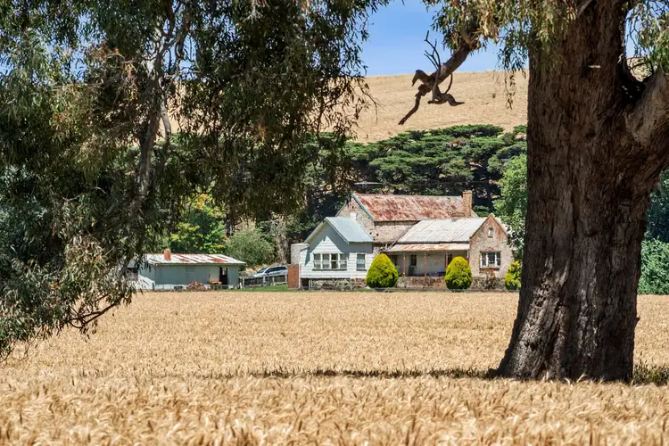 Main view of Homely rural property listing, 56 Buchter Road, Batesford VIC 3213