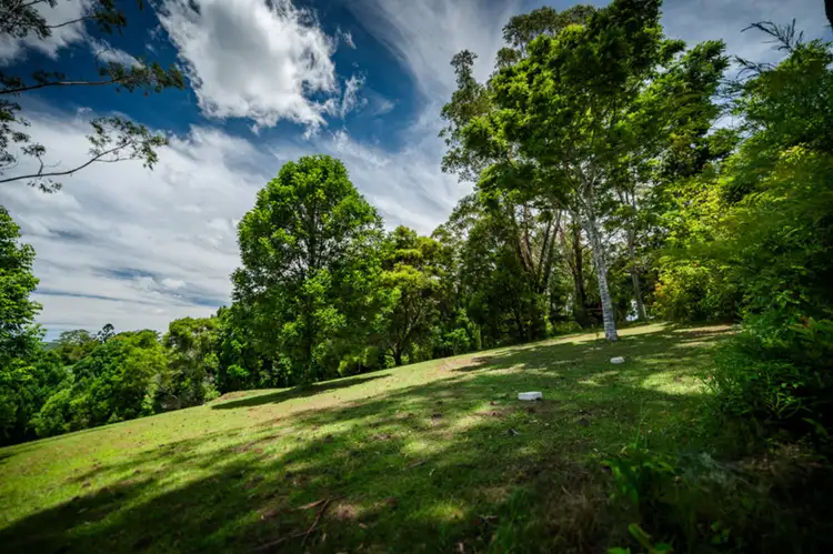 Fifth view of Homely land listing, 19 Jaraan Place, Bellingen NSW 2454