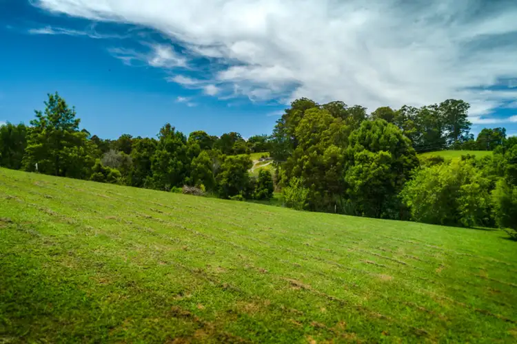Sixth view of Homely land listing, 19 Jaraan Place, Bellingen NSW 2454
