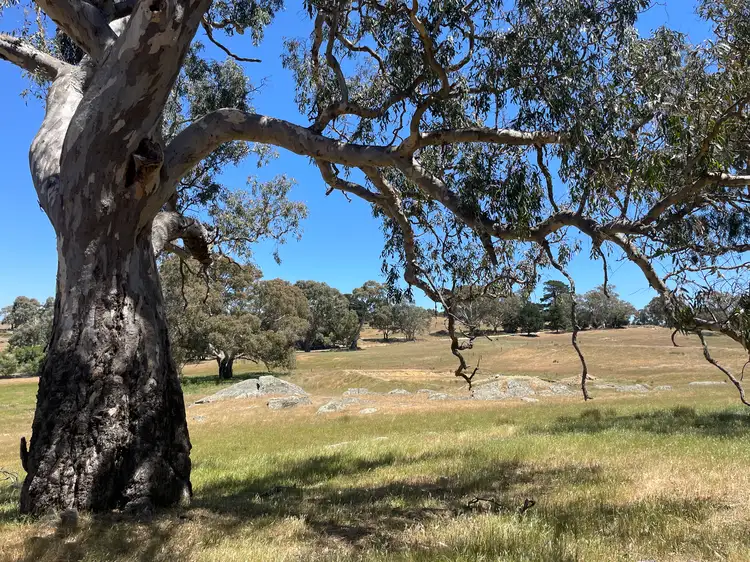 Main view of Homely rural property listing, LOT 21, 201 Mcgormans Road, Mount Pleasant SA 5235