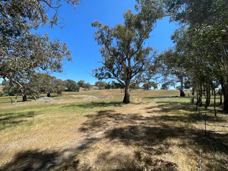 Fourth view of Homely rural property listing, LOT 21, 201 Mcgormans Road, Mount Pleasant SA 5235